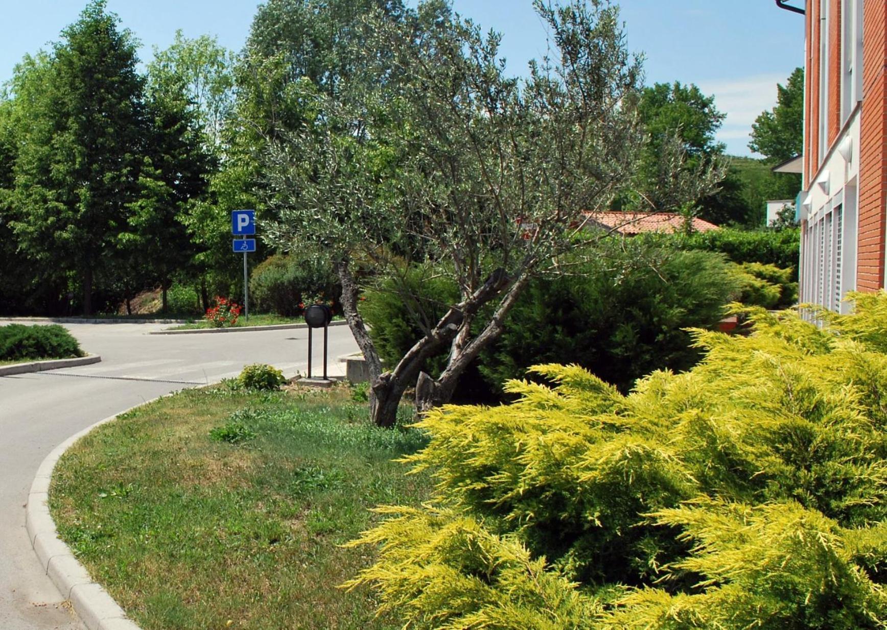 Bed And Breakfast Kogoj Nova Gorica Exterior photo