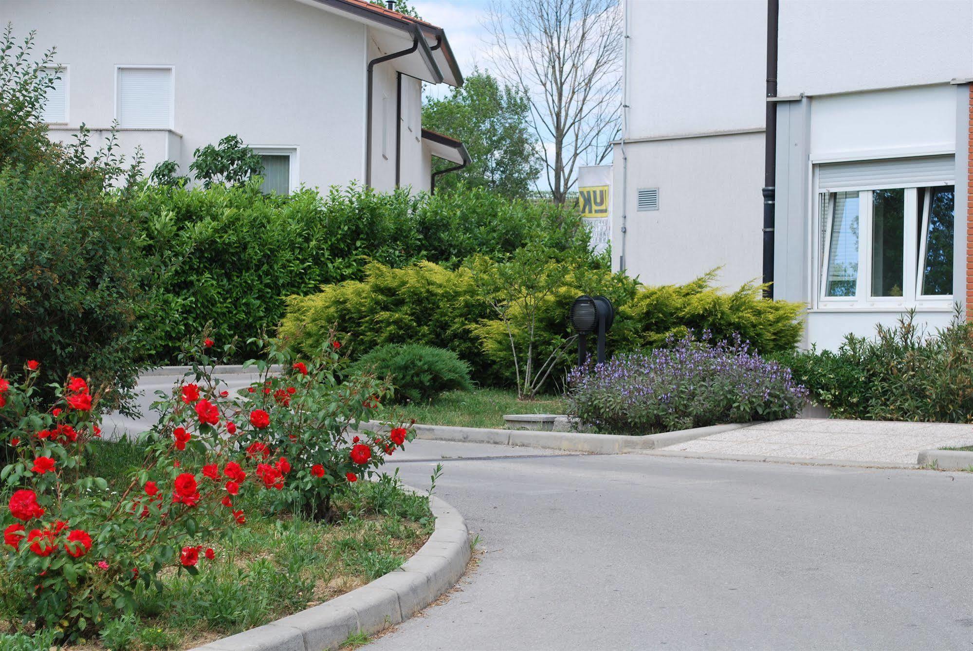 Bed And Breakfast Kogoj Nova Gorica Exterior photo